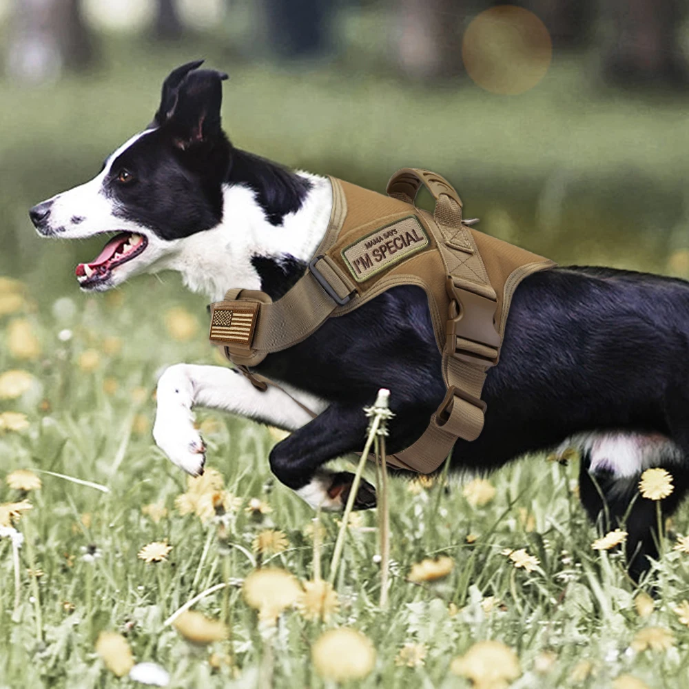 1000D Vest Molle Dog Vest Training Hunting Quick Release Service Outdoor Dog Vest Tactical Nylon Dog Harness Set - Image 6