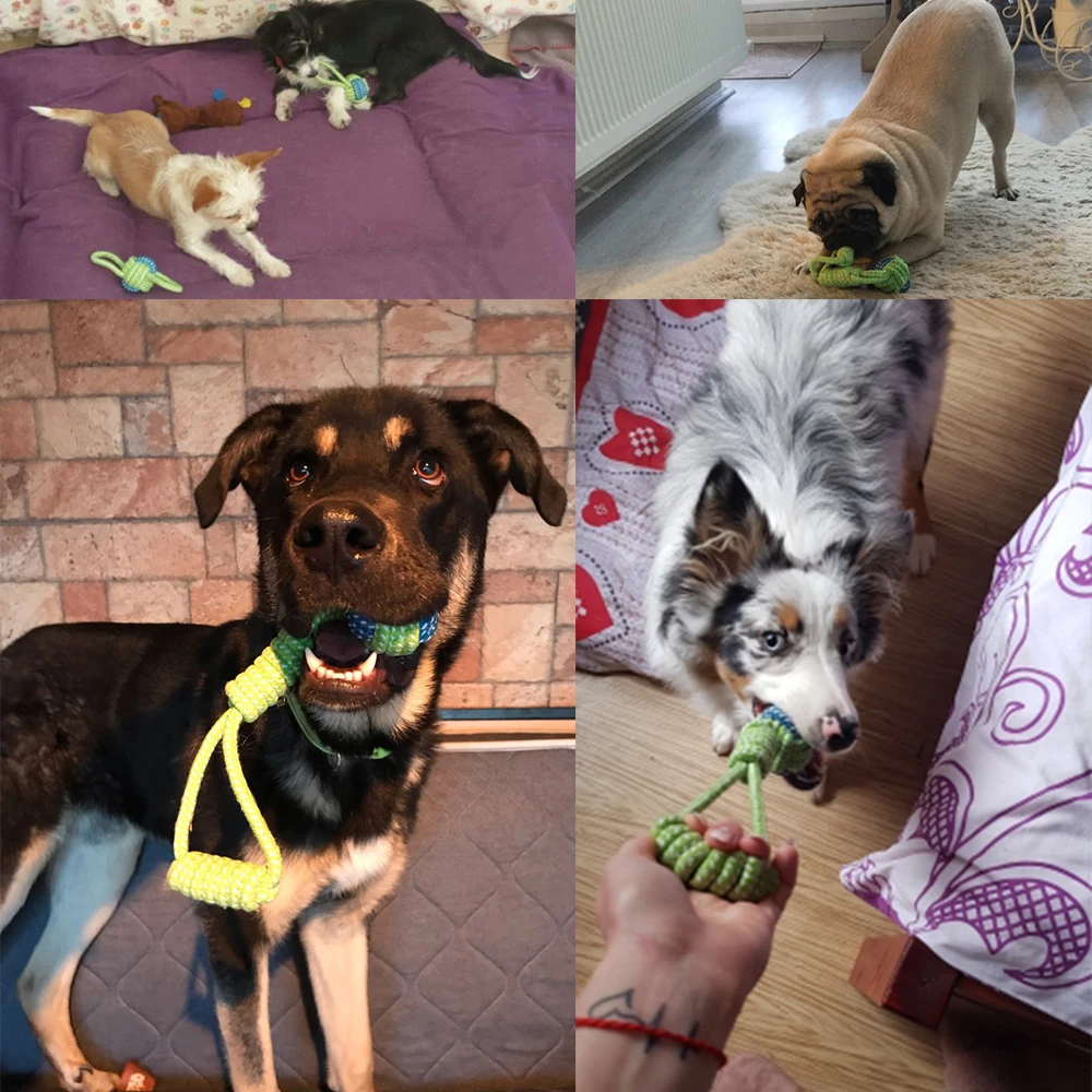 Dog Toy Rope Ball Toy for Small Medium Dogs Outdoor Training Toy for Dogs Teeth Cleaning Tug Toy Interactive Knot Rope TY0078 - Image 2