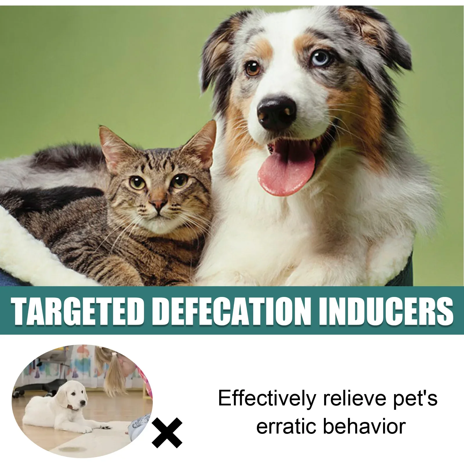 Pet Toilet Training Spray - Effective Puppy & Dog Potty Inducer with Attractive Scent | Guides Toilet Positioning & Defecation - Image 3