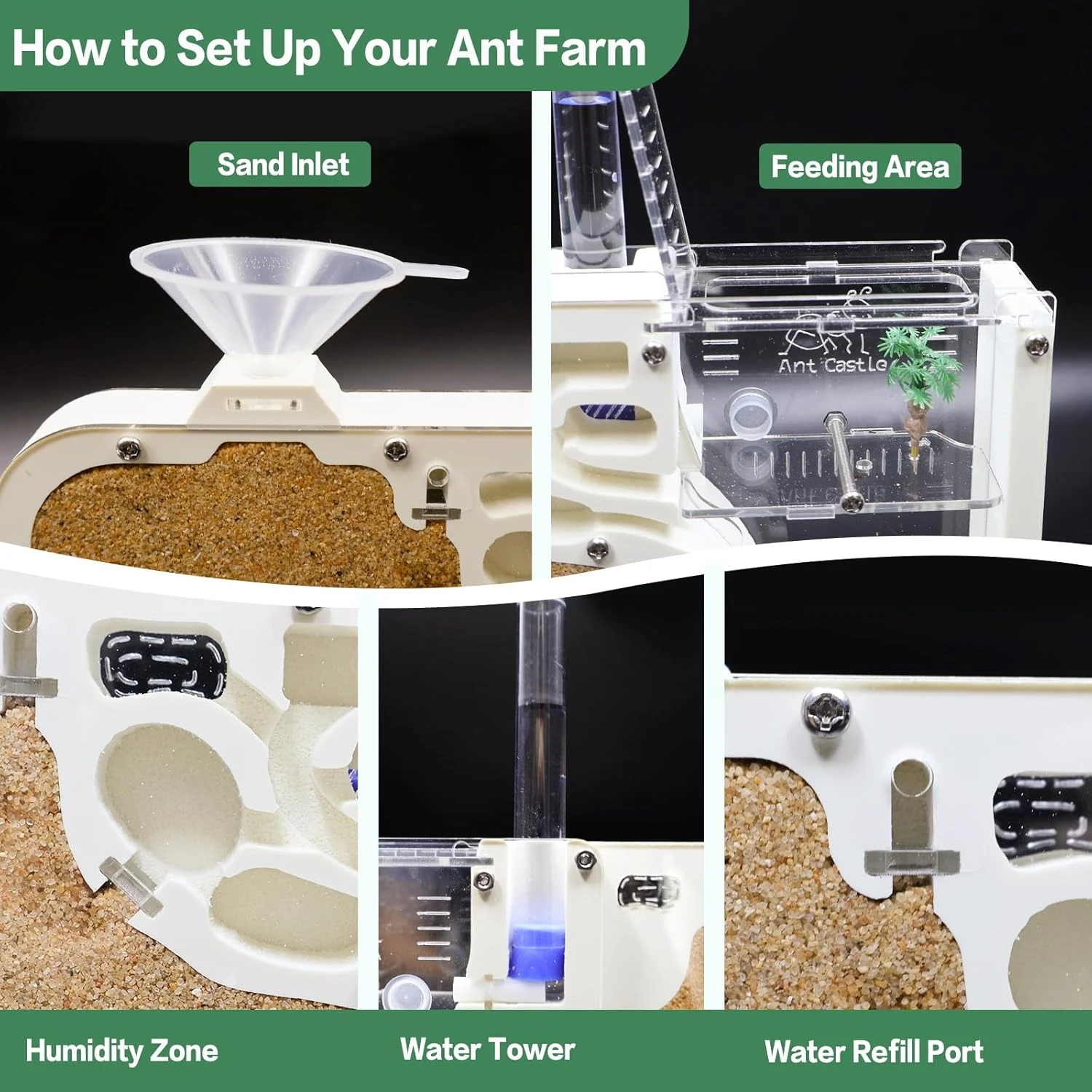 Ant Farm Castle: Diy Clear Acrylic Habitat For Live Ants - Complete Tool Kit | Educational Toy For Ant Colony Observation - Image 3