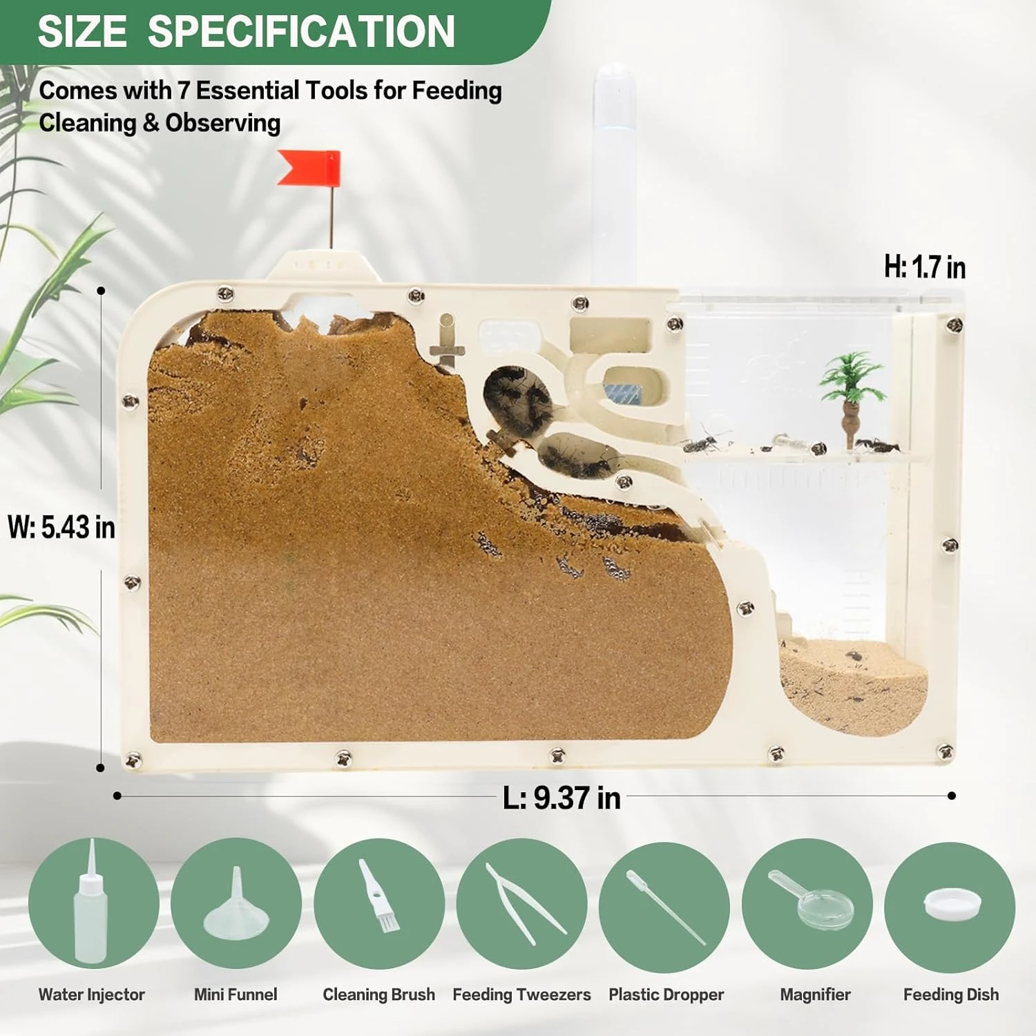 Ant Farm Castle: Diy Clear Acrylic Habitat For Live Ants - Complete Tool Kit | Educational Toy For Ant Colony Observation - Image 2