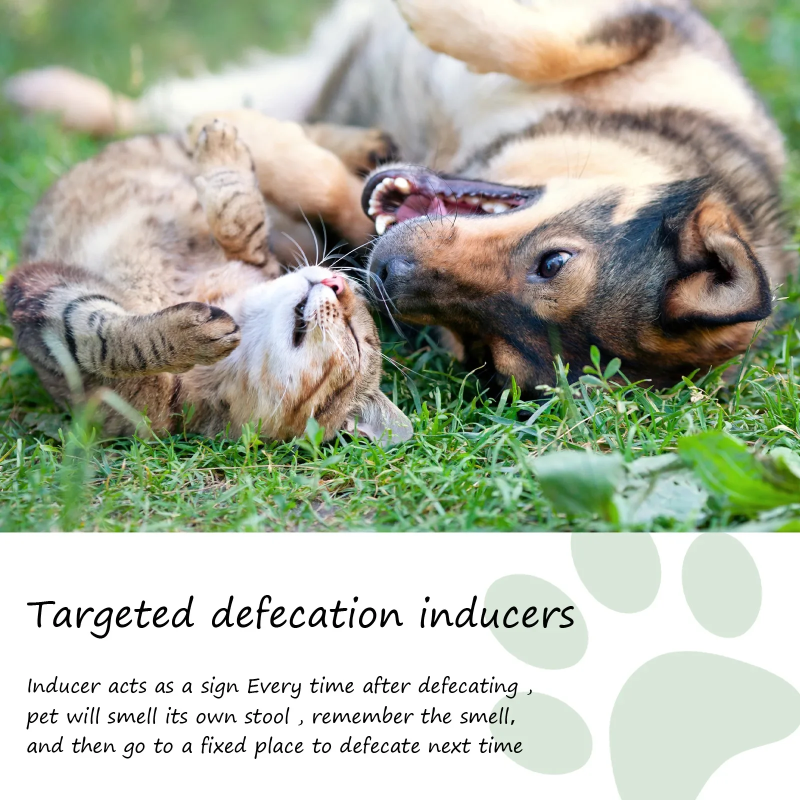 Pet Toilet Training Spray - Effective Puppy & Dog Potty Inducer with Attractive Scent | Guides Toilet Positioning & Defecation - Image 5