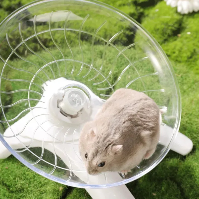 Hamster Running Disc Toy Sport Running Silent Transparent Small Pet Rotatory Jogging Wheel Wheel Toys Pet Hamster Cage Supplies - Image 2