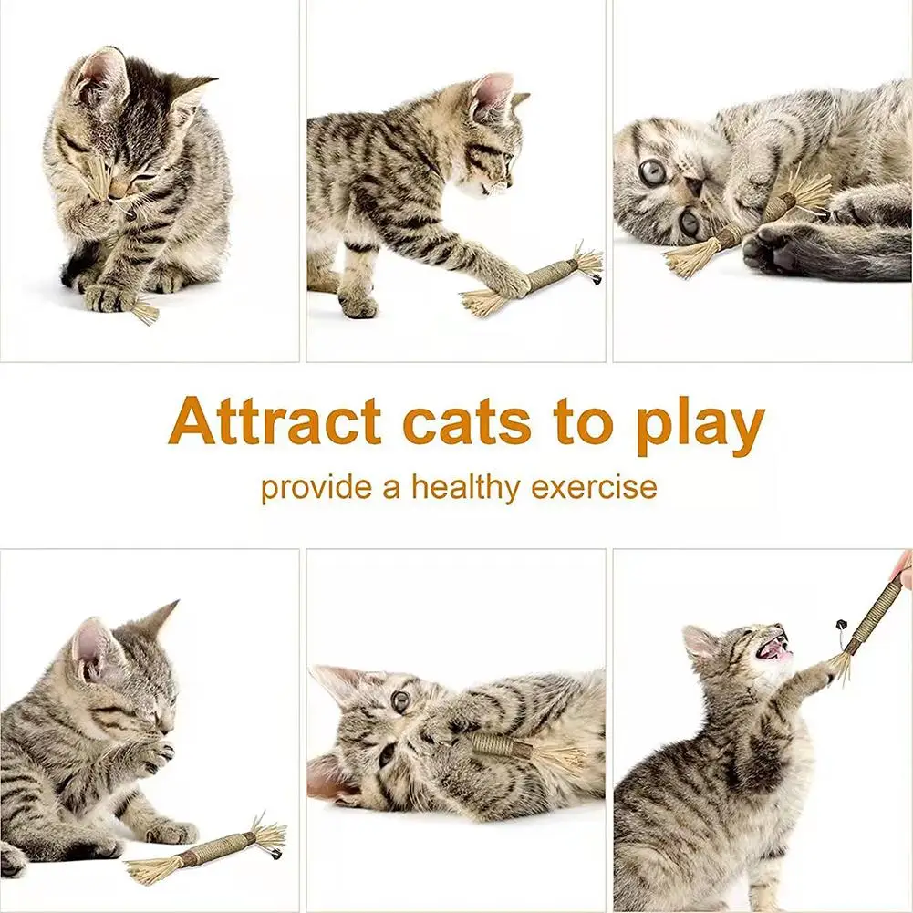 1pc Cat Toys Chew Stick Pet Snacks Sticks Natural Stuff with Catnip for Kitten Catnip Teasing Chew Toys Clean Teeth - Image 6