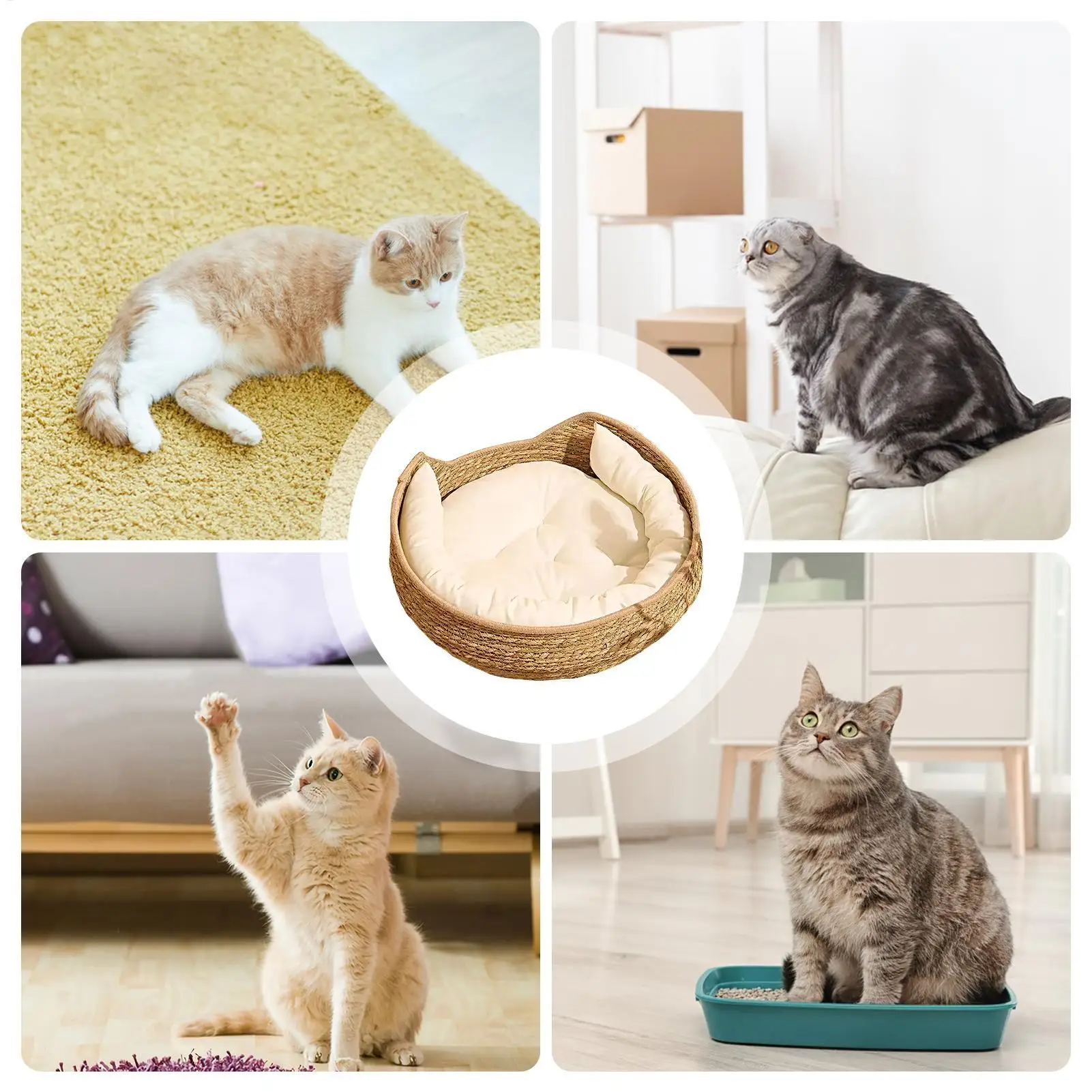 Cat Bed Cotton Rope Round Bed for Cat Sleep with Pillow All Season Indoor Weaving Pet Resting Scratching Sleeping Furniture - Image 5