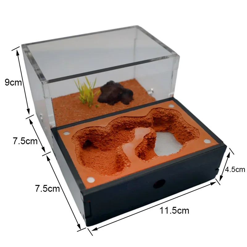 Yellow Soil Ant Farm with External Water Tower and Garbage Area Queen Breeding Area Ant Nest Anthill Castle Ant House Insect Box - Image 4