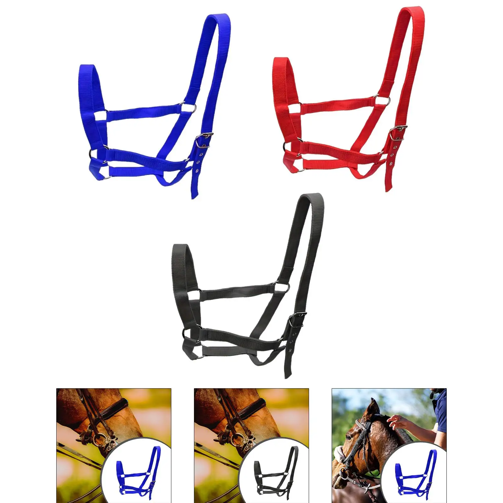 Horse Halter with Padding Durable Rope Training Bridle Adjustable Harness for Farm Grassland and Sports - Image 2