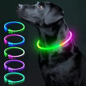 Luminous Dog Collar Light Charge Cat Necklace, Led Fashion Flashing DIY Glowing Safety Collar for Dogs Nighttime Pet Accessorie