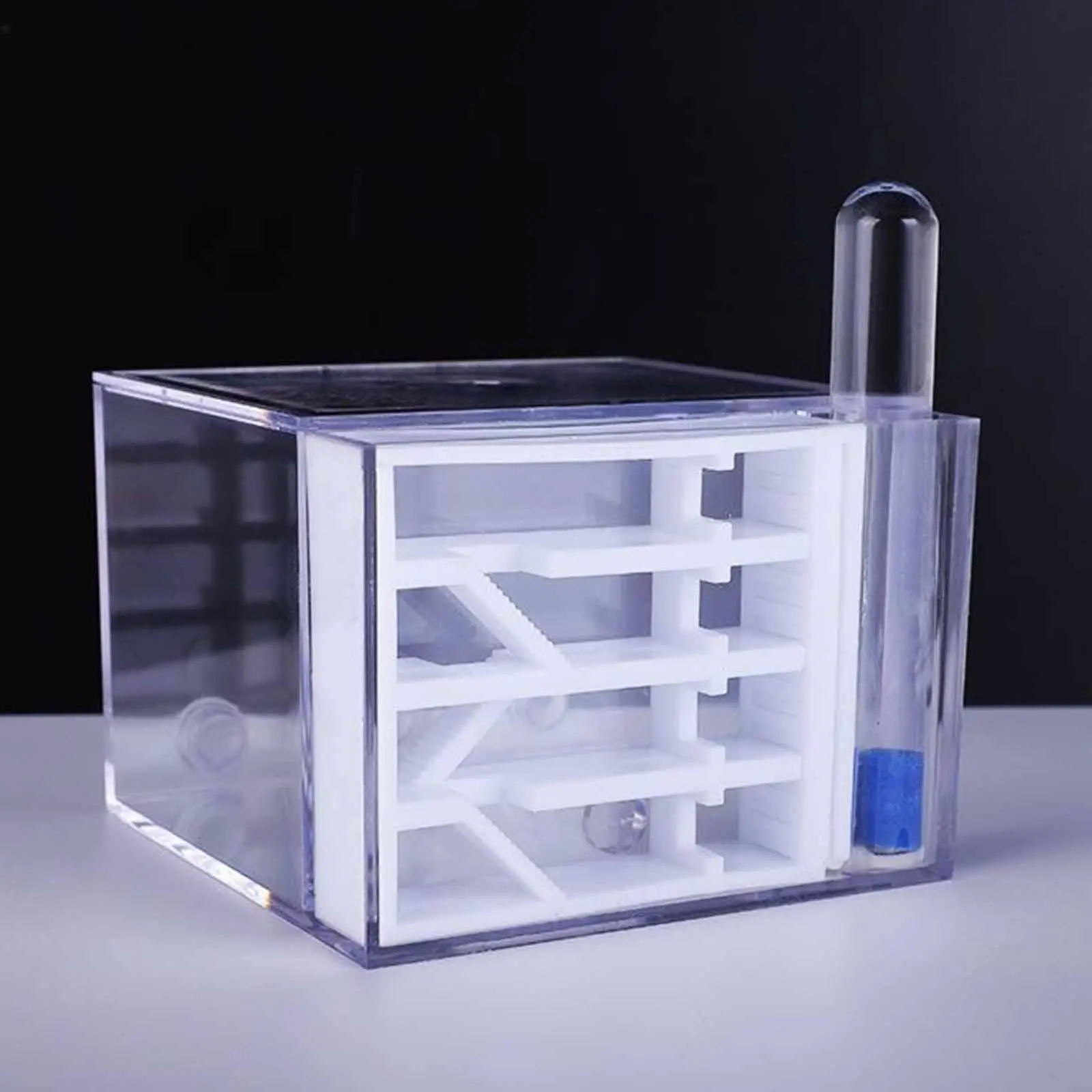 ANT Farm DIY Supplies Funny Toys Study ANT Habitat ANT Nest for Childrens Day Gift Decoration Tabletop Science Observation - Image 2