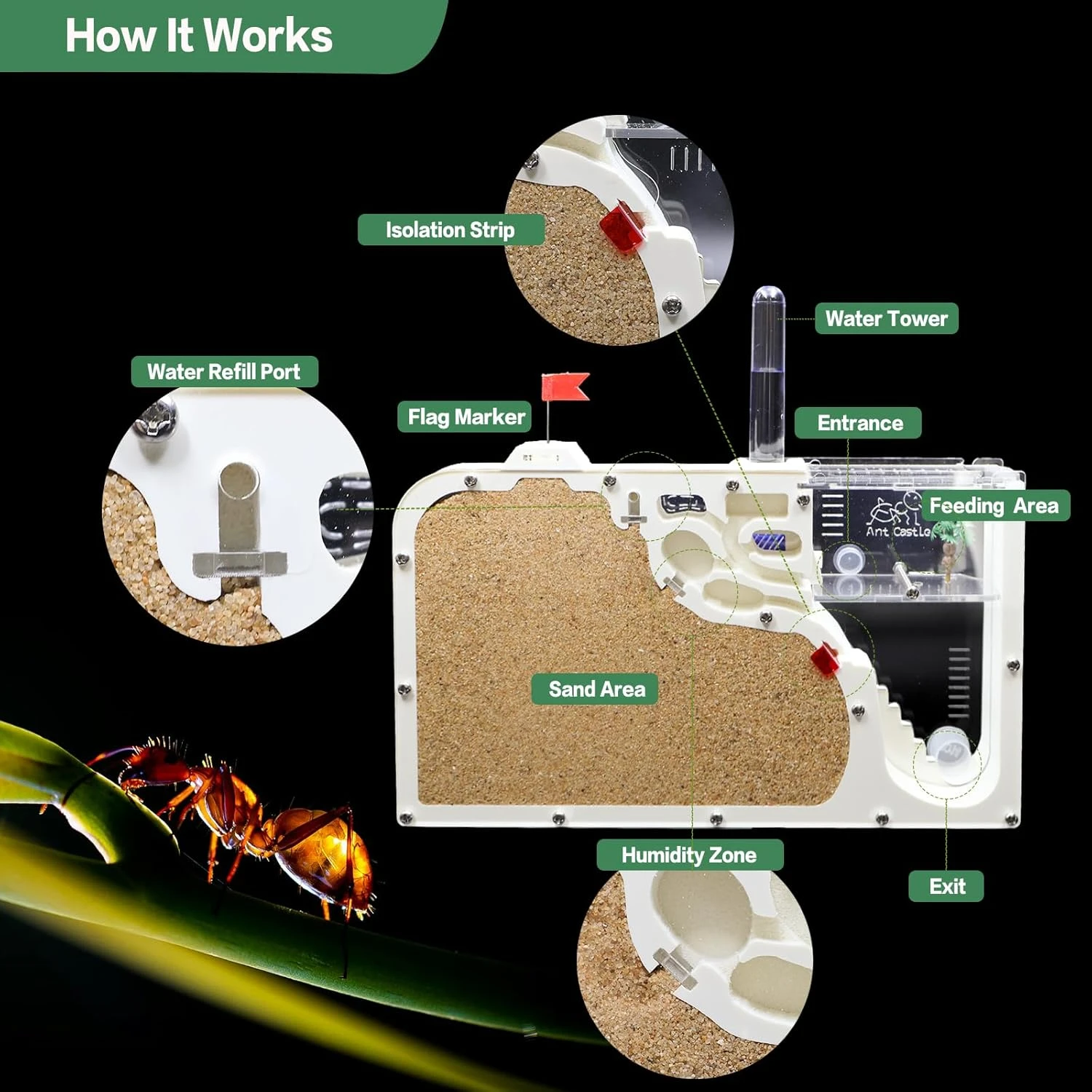 Ant Farm Castle: Diy Clear Acrylic Habitat For Live Ants - Complete Tool Kit | Educational Toy For Ant Colony Observation - Image 4