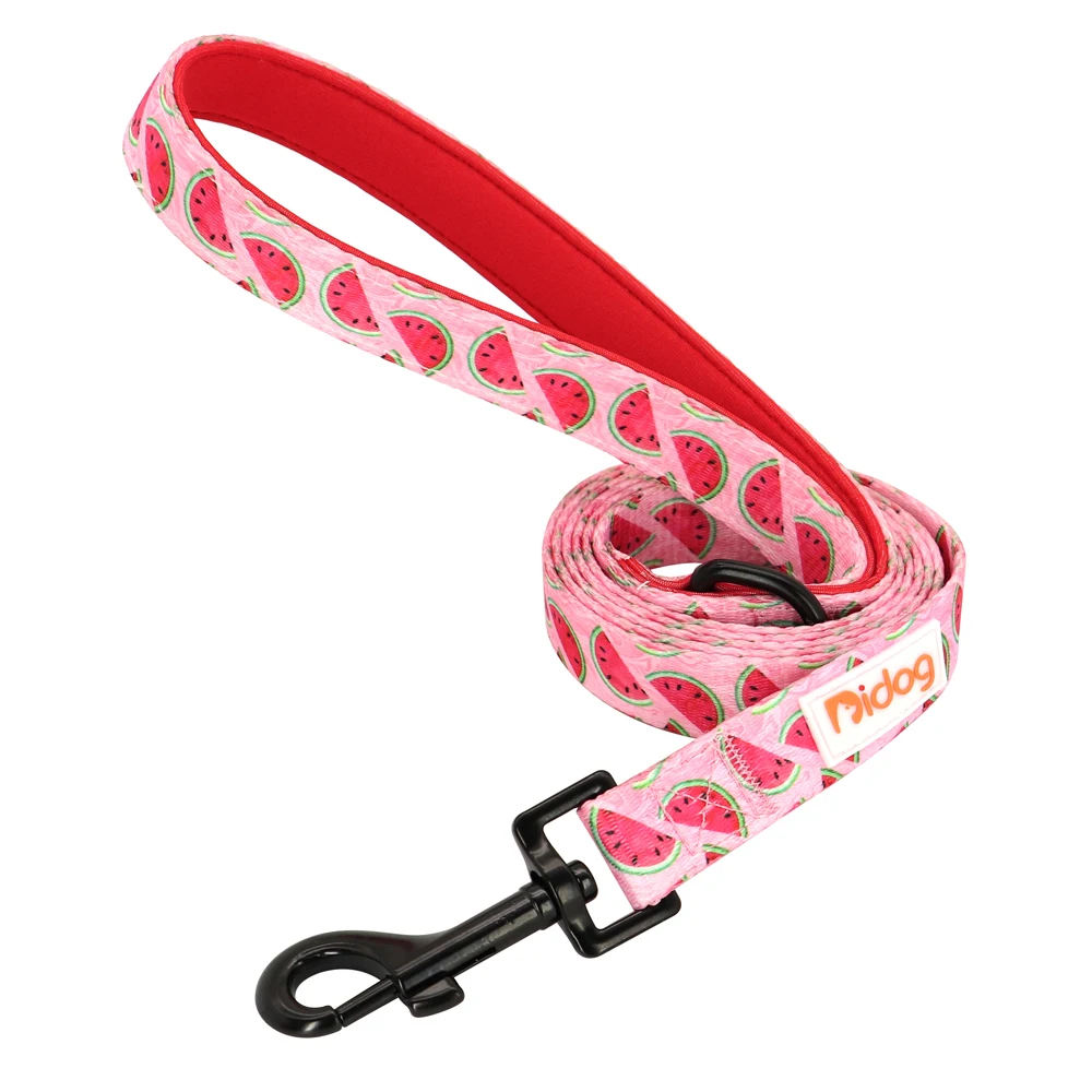 150cm Dog Leash Nylon Print Pet Cat Walking Belt Dogs Cat Lead Rope With Padded Handle for Dogs Cats Bulldog Pug Chihuahua - Image 10