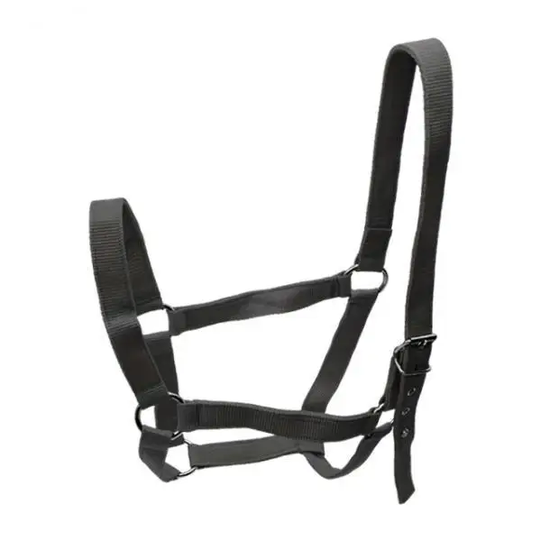 Horse Halter with Padding Durable Rope Training Bridle Adjustable Harness for Farm Grassland and Sports - Image 8