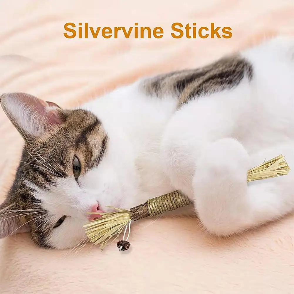 1pc Cat Toys Chew Stick Pet Snacks Sticks Natural Stuff with Catnip for Kitten Catnip Teasing Chew Toys Clean Teeth - Image 3