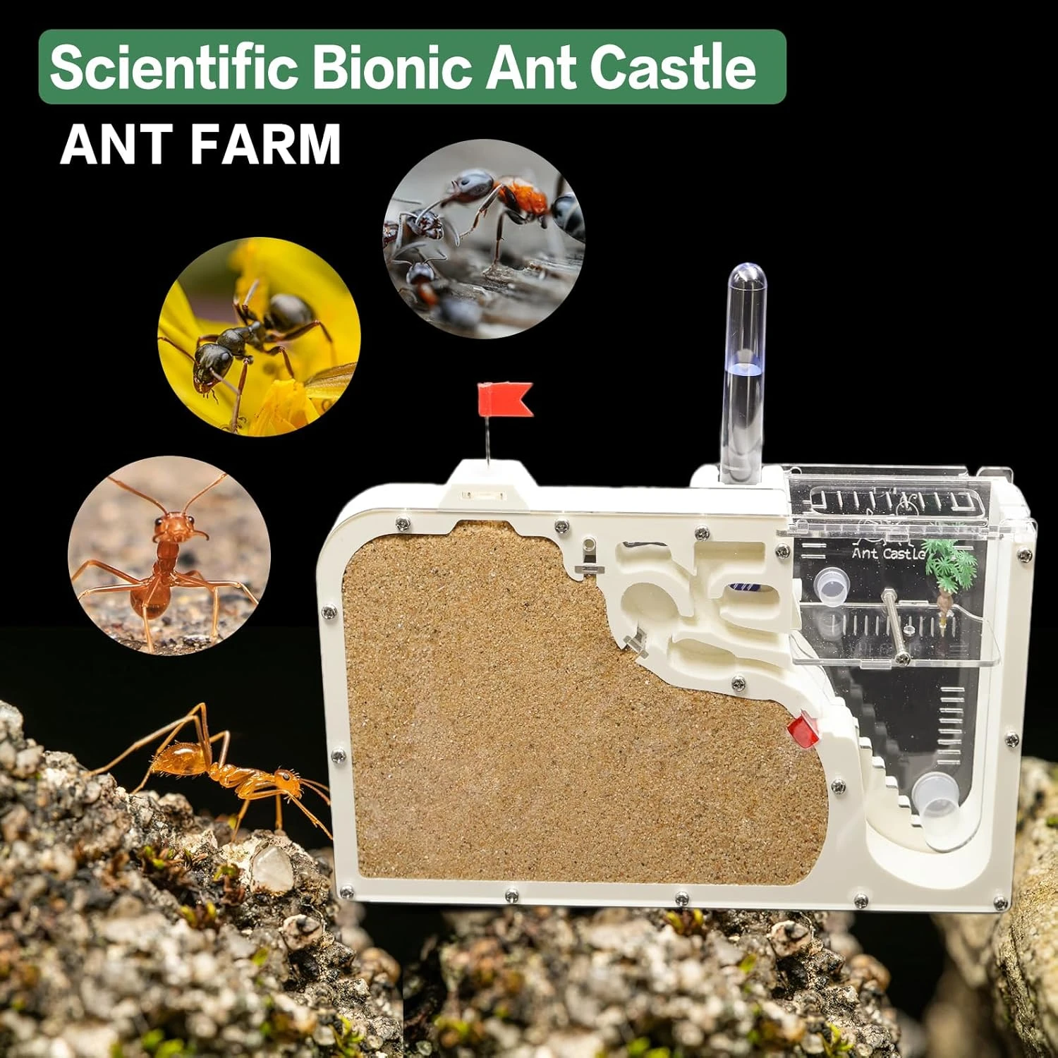 Ant Farm Castle: Diy Clear Acrylic Habitat For Live Ants - Complete Tool Kit | Educational Toy For Ant Colony Observation - Image 5