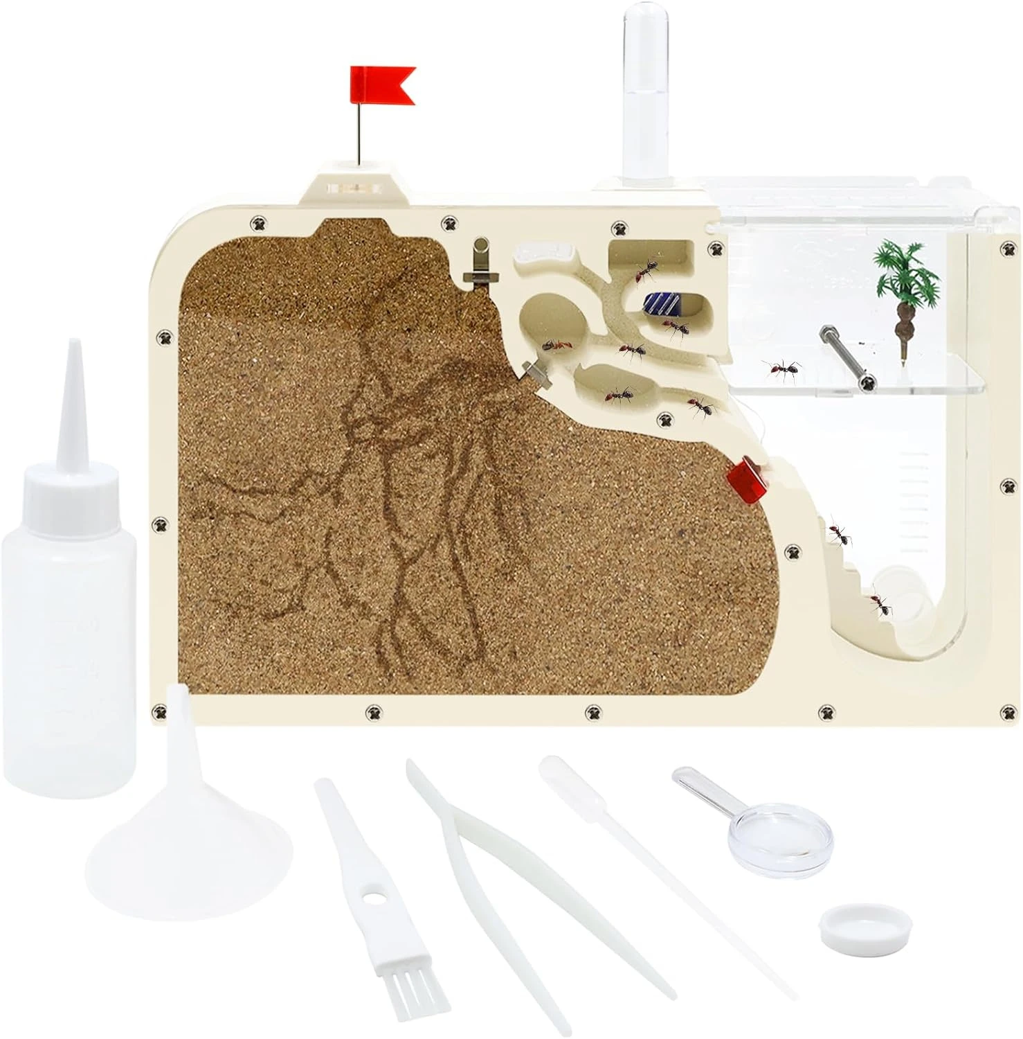 Ant Farm Castle: Diy Clear Acrylic Habitat For Live Ants - Complete Tool Kit | Educational Toy For Ant Colony Observation