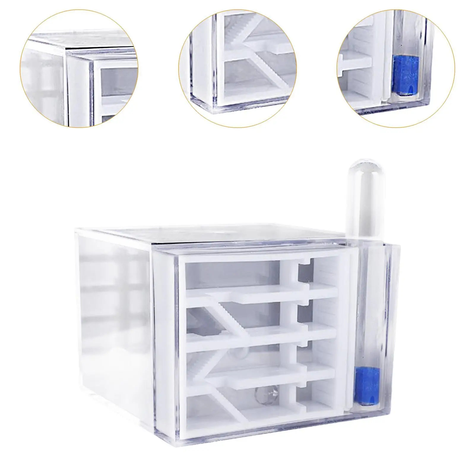 ANT Farm DIY Supplies Funny Toys Study ANT Habitat ANT Nest for Childrens Day Gift Decoration Tabletop Science Observation - Image 5