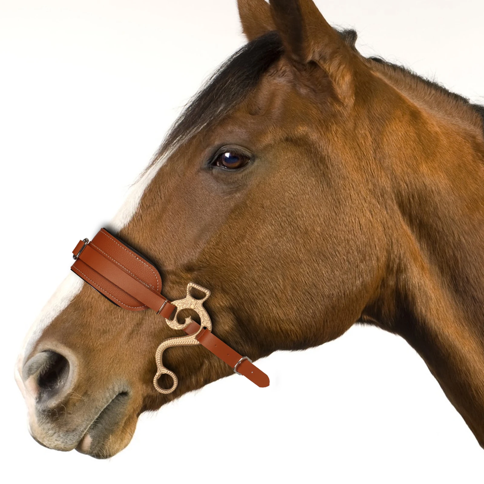 Horse Bit Bridle Hackamore Brown English Western Nose Curb Chain Padded Adjustable Horse Equipment - Image 6