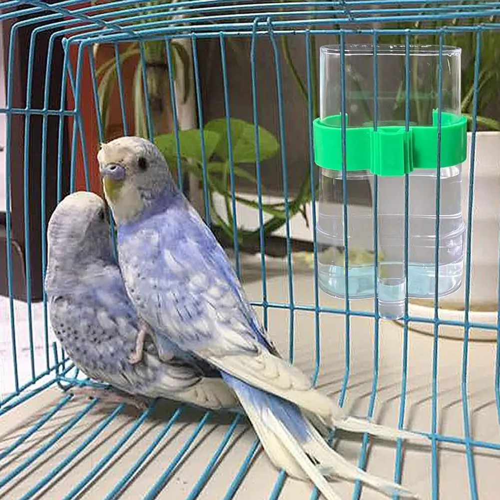 Birds Feeding Watering Bird High-quality Plastic Feeder Food Water Feeding Automatic Drinker Parrot Pet Dispenser Bird Food Box - Image 2