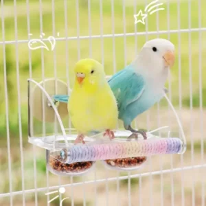 Bird Transparent Feeder Feeding Basin With Antiskid Stand Bowls Acrylic Bird Cage Feeder Fixed Food Bowl Parakeets Feeders