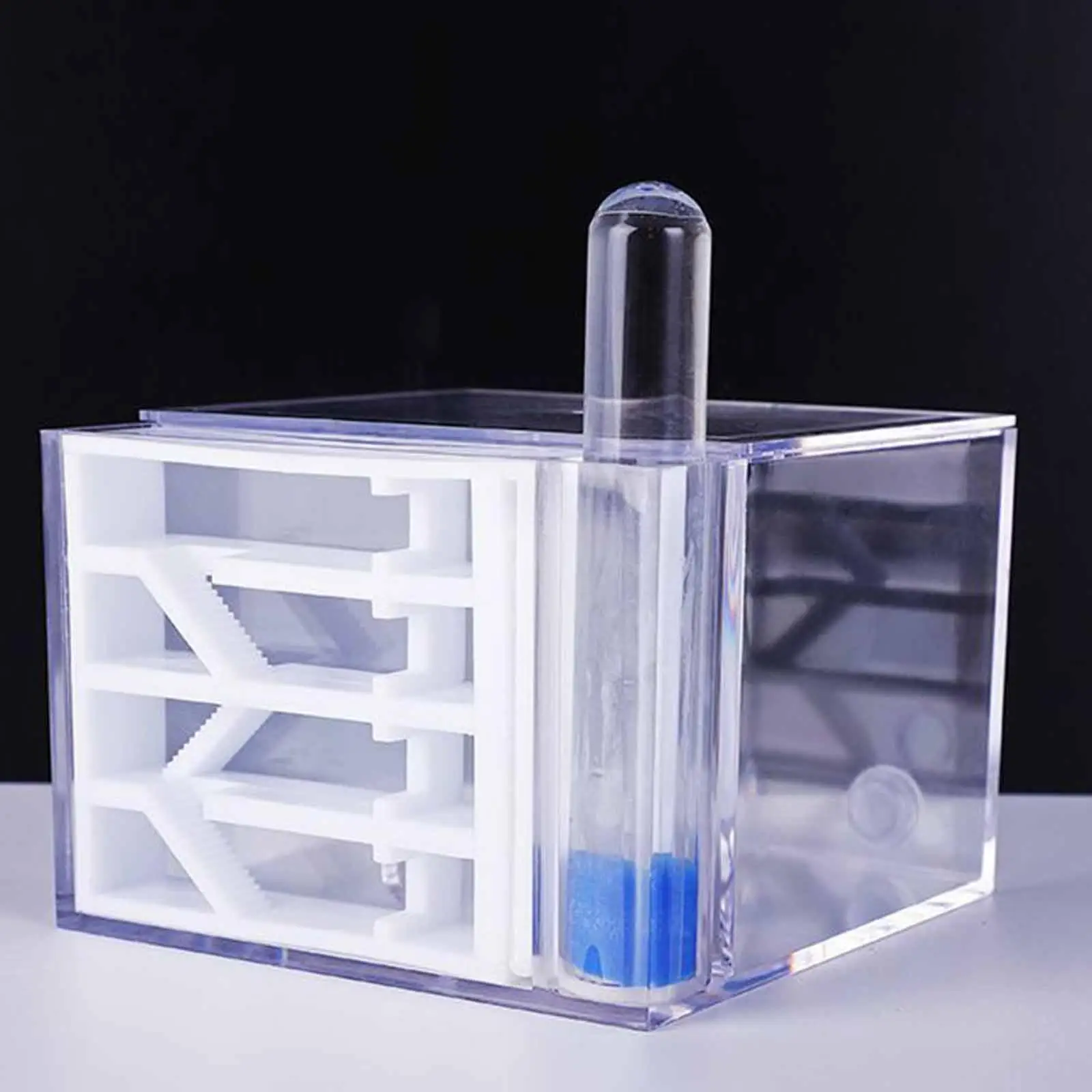 ANT Farm DIY Supplies Funny Toys Study ANT Habitat ANT Nest for Childrens Day Gift Decoration Tabletop Science Observation - Image 3