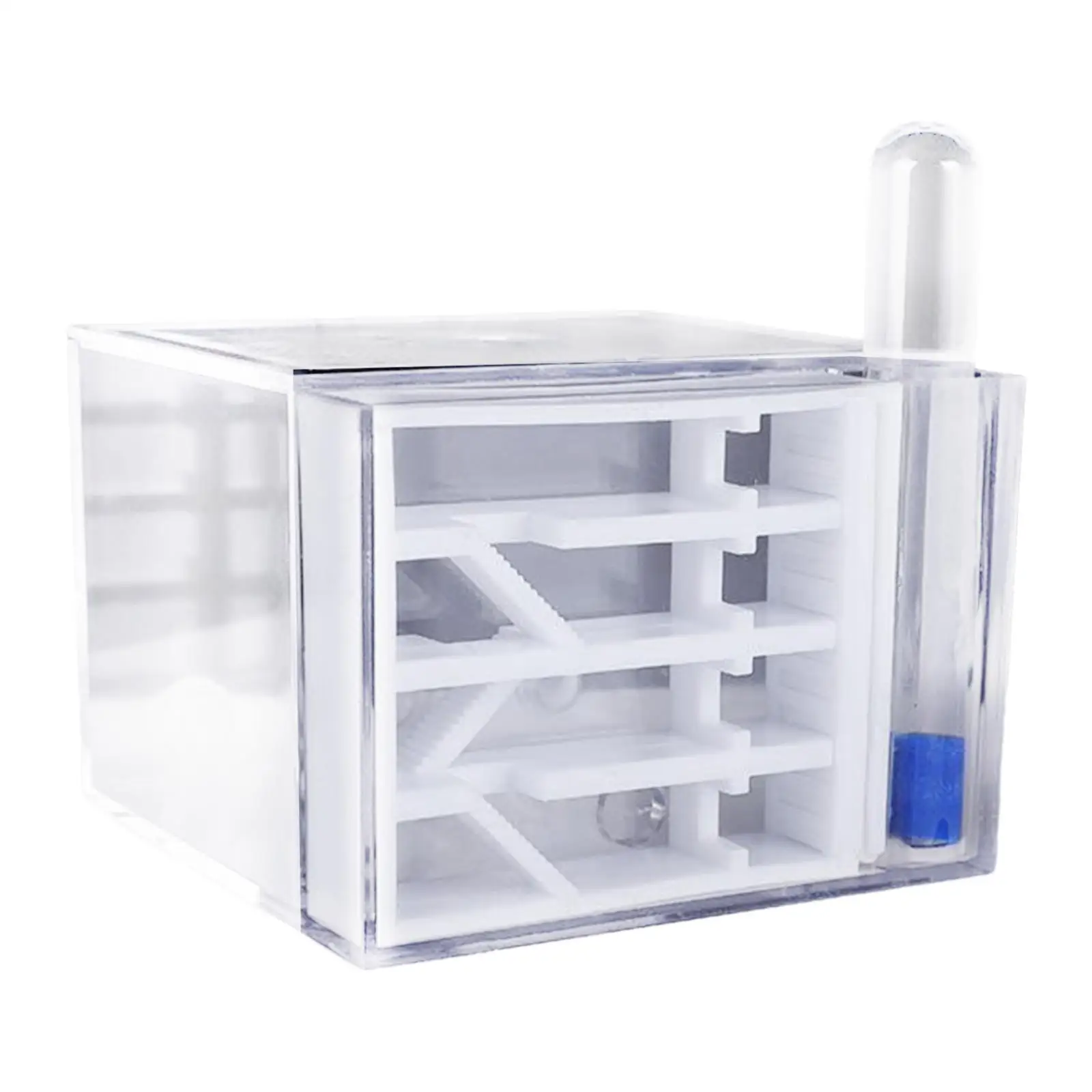 ANT Farm DIY Supplies Funny Toys Study ANT Habitat ANT Nest for Childrens Day Gift Decoration Tabletop Science Observation