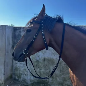 Horse Bridle Harness Set – PU Leather Headstall, Reins, Bit – Adjustable Equestrian Training Gear, Riding Accessories for Horses