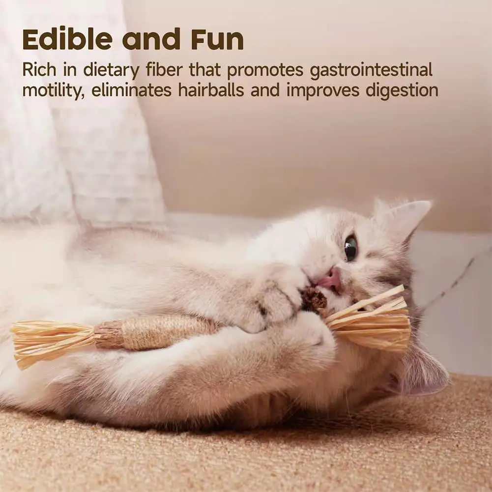 1pc Cat Toys Chew Stick Pet Snacks Sticks Natural Stuff with Catnip for Kitten Catnip Teasing Chew Toys Clean Teeth - Image 2