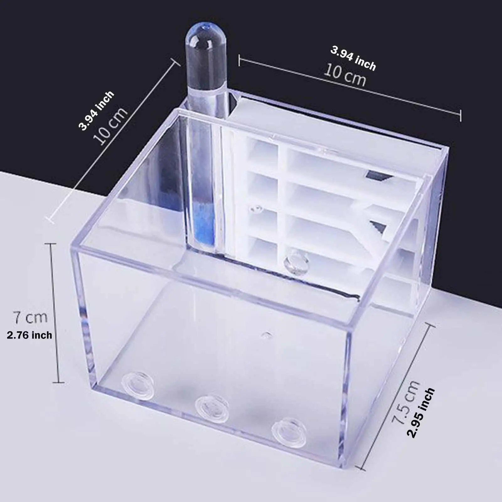 ANT Farm DIY Supplies Funny Toys Study ANT Habitat ANT Nest for Childrens Day Gift Decoration Tabletop Science Observation - Image 6