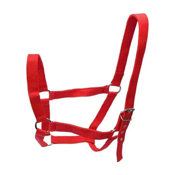 Horse Halter with Padding Durable Rope Training Bridle Adjustable Harness for Farm Grassland and Sports - Image 7