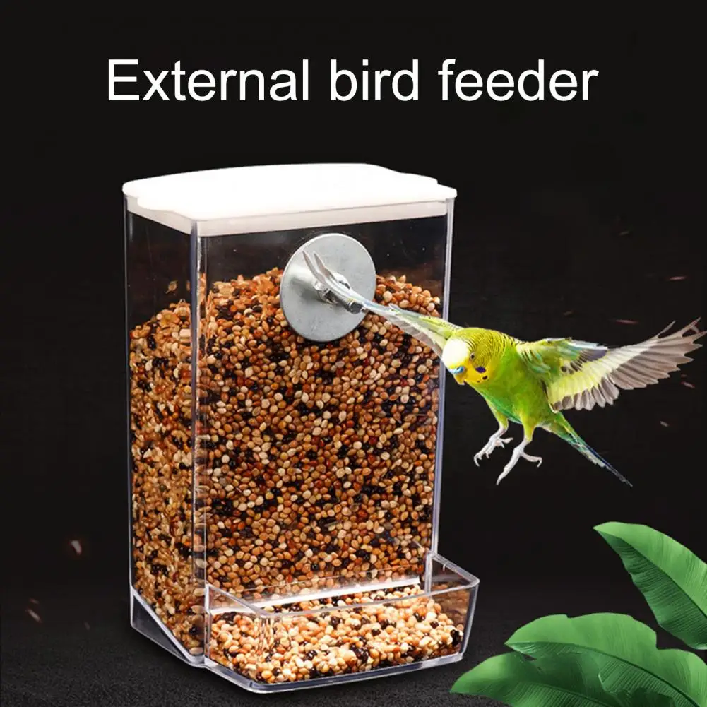 Bird Feeder Box Hard Parrot Budgie Cockatiel Conure Food Dispenser Screw Mount Bird Feeding Box - Image 5