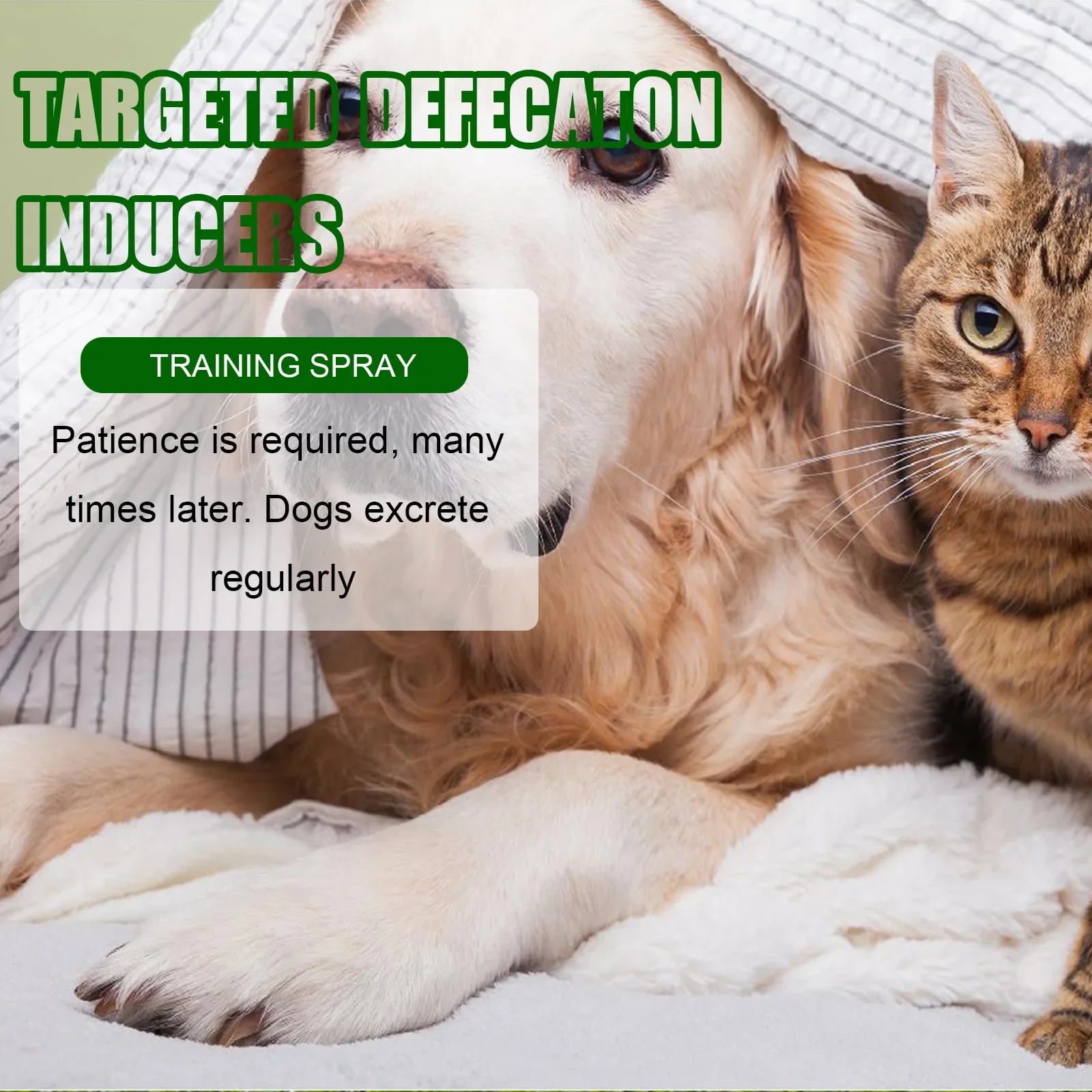 Pet Toilet Training Spray - Effective Puppy & Dog Potty Inducer with Attractive Scent | Guides Toilet Positioning & Defecation - Image 4