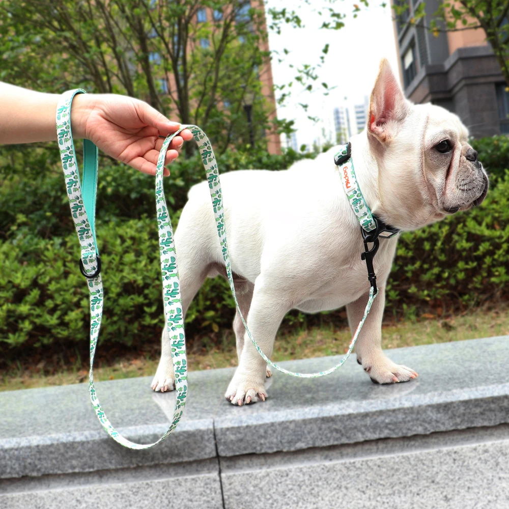 150cm Dog Leash Nylon Print Pet Cat Walking Belt Dogs Cat Lead Rope With Padded Handle for Dogs Cats Bulldog Pug Chihuahua - Image 5