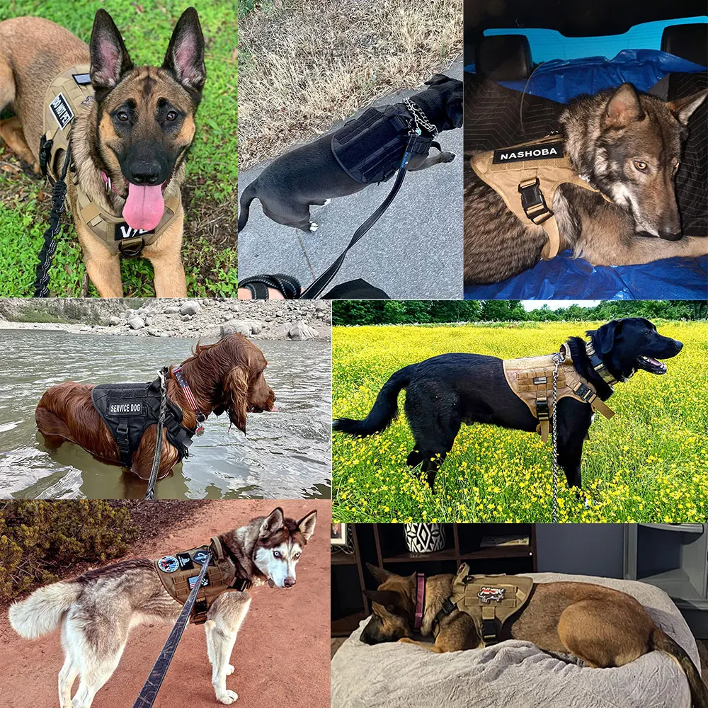 Military Large Dog Harness Training Pet Vest for French Bulldog German Shepherd Malinois Tactical Harnesses For Dogs Accessories - Image 6