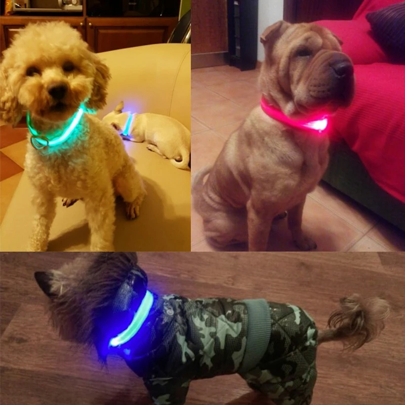 Dog Collar LED Light Electronic Night Safety Anti-Lost Nylon Adjustable Luminous Glowing Collar For Dogs Cats Pet Products Xs-XL - Image 2