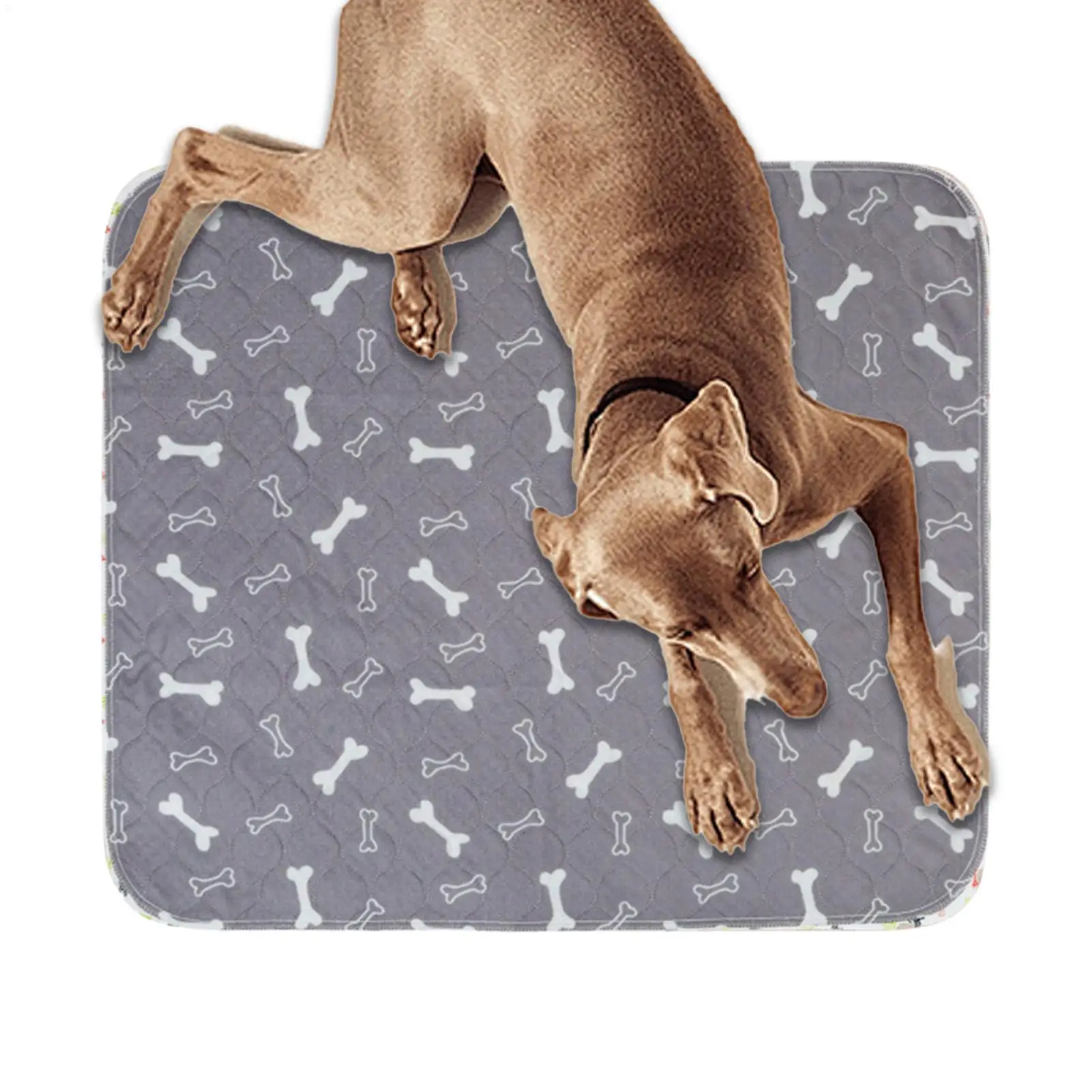 Dog Pee Pads Fast Absorbent Pet Training Mat Leak-Proof Pet Training Pads for Dogs Indoor for Pee Cats Potty Training pee pads - Image 4
