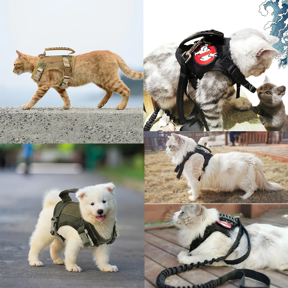 Tactical Puppy Harness Leash For Small Dogs Cats Adjustable Kitten Vest For Military Service Dog Working Training Walking - Image 6