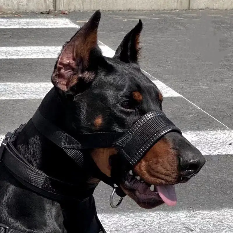 Dog Muzzle Anti-Bite And Anti-barking Outdoor Dog Walking Anti-Licking And Eating Mouth Cover Husky Small Medium And Large Dogs - Image 3