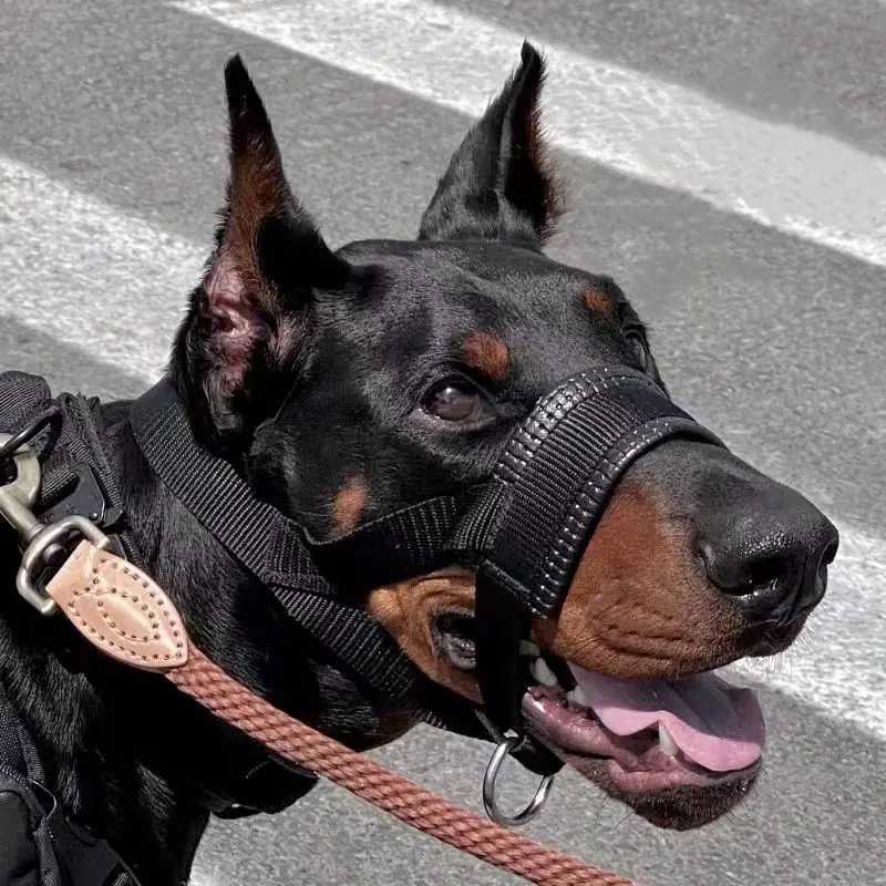 Dog Muzzle Anti-Bite And Anti-barking Outdoor Dog Walking Anti-Licking And Eating Mouth Cover Husky Small Medium And Large Dogs - Image 2