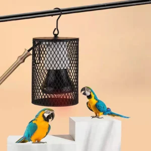 Reptile Heat Lamp Guard, Heater Light Cover Winter Supplies Heating Light Mesh Cage for Snake,