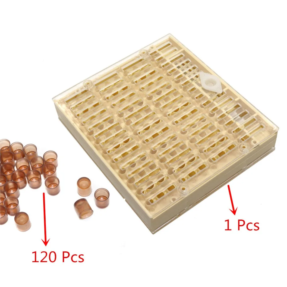 Bee Queen Breeding Cell Cage Beekeeper Beekeeping Rearing Tool Apiculture Supplies Honeycombs Bee Nest Box Isolation Cell Cup - Image 8