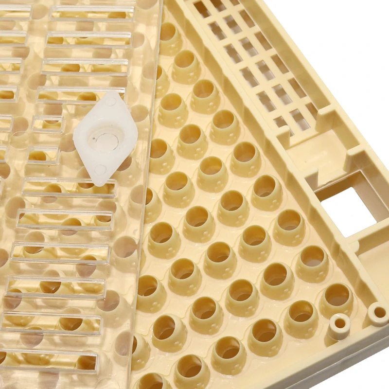Bee Queen Breeding Cell Cage Beekeeper Beekeeping Rearing Tool Apiculture Supplies Honeycombs Bee Nest Box Isolation Cell Cup - Image 5