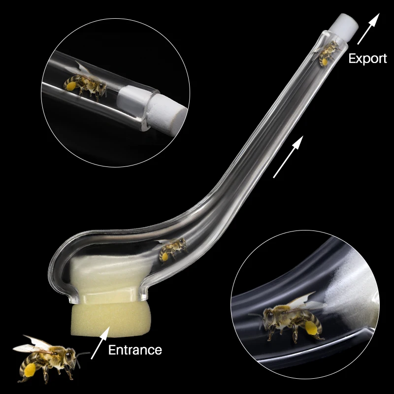 2PCS Beekeeping King Bee Catcher Catching Queen Cage Device Catch King Apicultura Rearing System Bee Supplies - Image 6