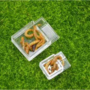 ant farm food feeder,food feeding area for ant nest ,ant farm acryl or insect nests villa pet mania for house ants