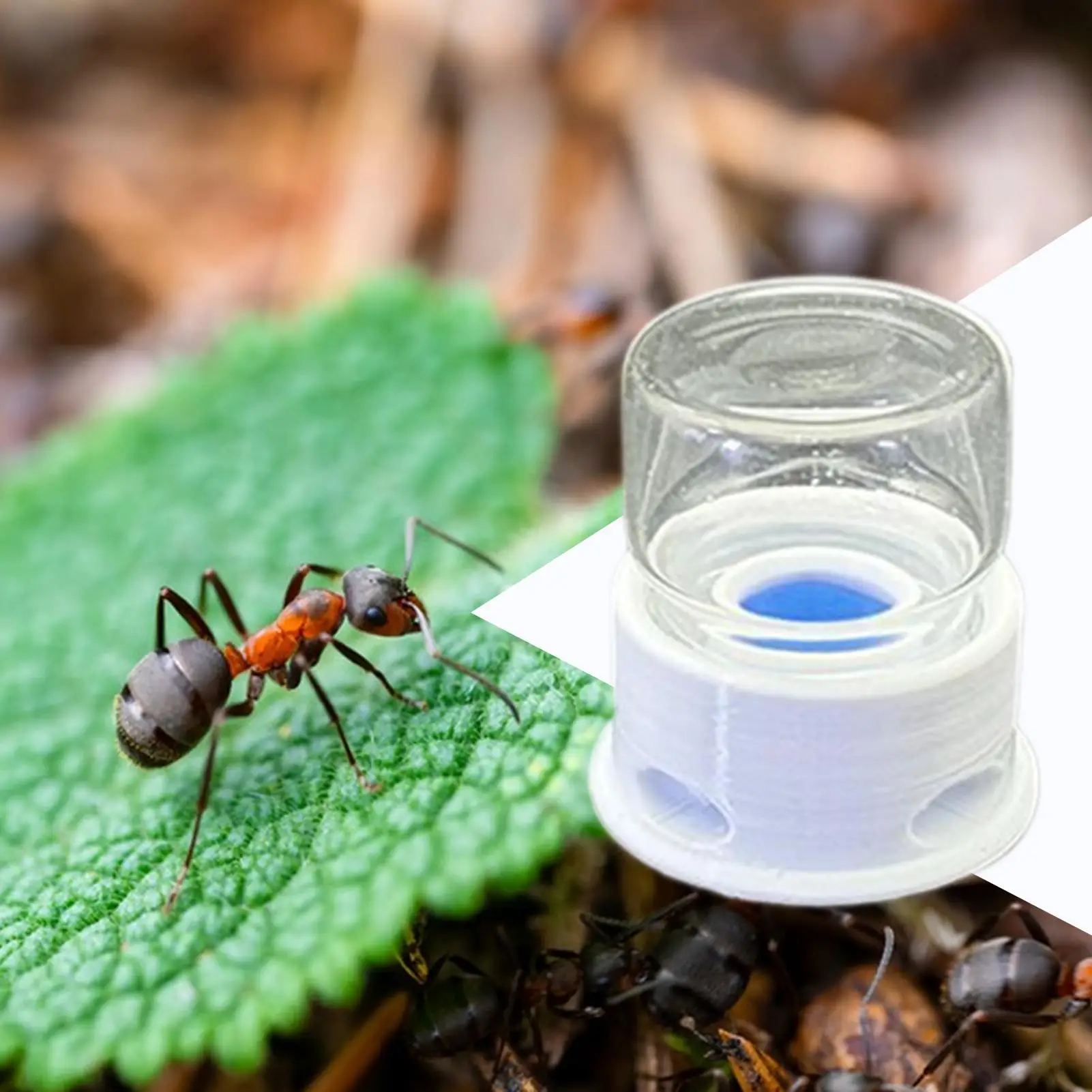 Ant Feeder Crickets Water Station Anti-Drowning Transparent Drinking Feeder for Ant Bee Crickets Home Classroom Outdoors - Image 4