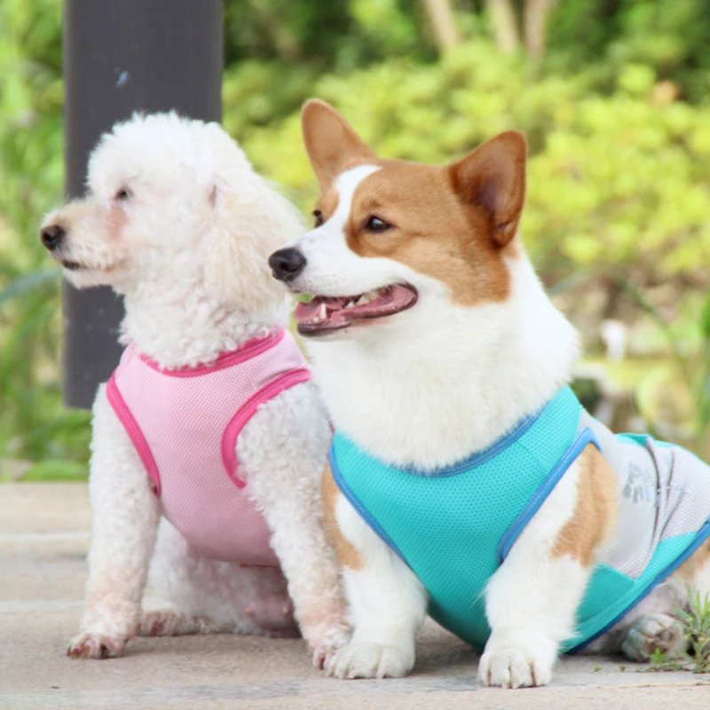 Summer Pet Dog Clothes Breathable Cooling Reflective Vest Small Medium Large Dog Puppy Cooling Quick Dry Summer Vest Pet Clothes - Image 2