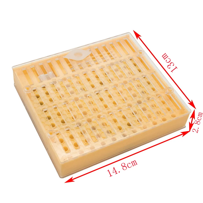 1set Bee Queen Rearing King New Plastic Brown/Green Color Cells Cages Room Cups Cell Cage Cup Bees Tools Beekeepers Kit - Image 5