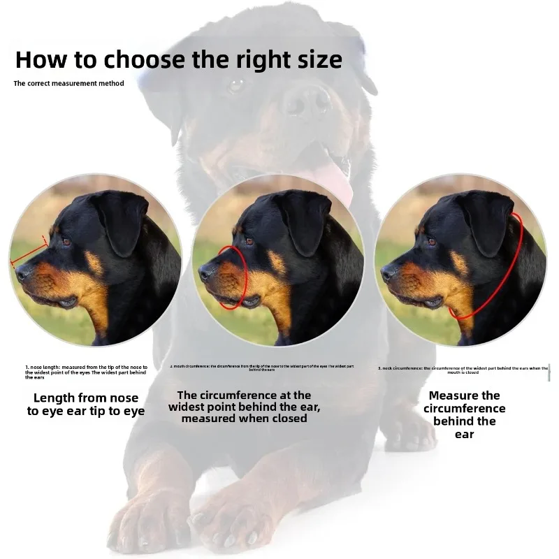 Dog Muzzle Medium and large dogs can adjust the mouth cage anti-bite and anti-barking non-toxic and breathable and do not fall - Image 3