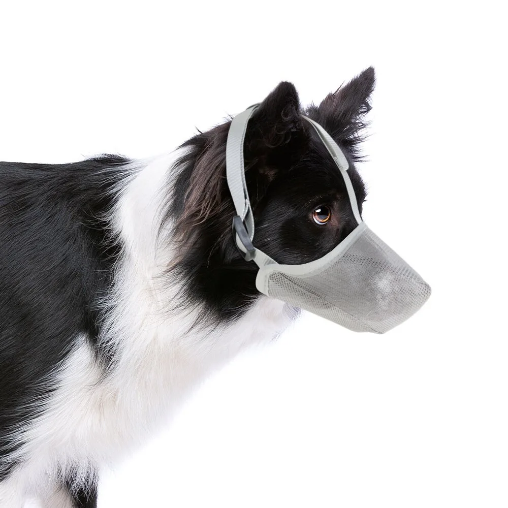 Dog Muzzle, Soft Mesh Covered Muzzles Poisoned Bait Protection With Adjustable Straps, Prevent Biting Chewing And Licking - Image 8