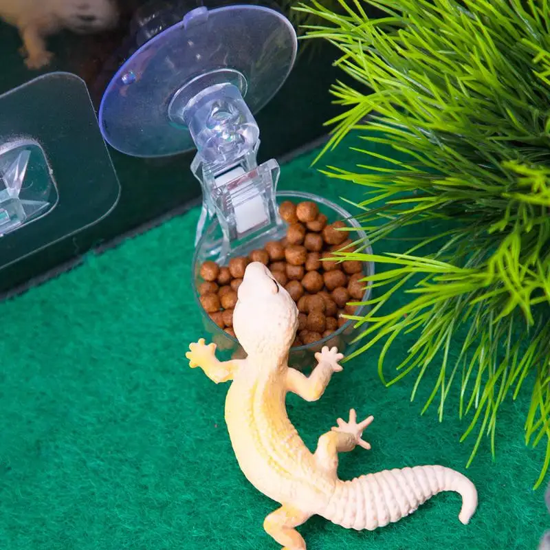 Reptile Water Food Bowl Suction Cup Food Tray Gecko Reptile Lizards Spider Tree Frogs Feeder Habitat Decoration Pet Supplies - Image 5