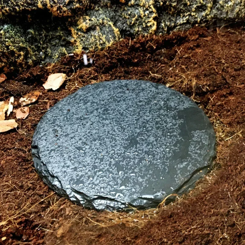 Natural Slate Aquarium Pet Reptile Feeder Bowl Basin Food Water Pot Reptile Turtle Tortoise Scorpion Lizard Crabs Supplies 10cm - Image 3